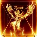 Picture - Wings (2019 Album) (Nac/Slipcase)