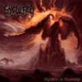 Engulfed - Engulfed In Obscurity/Through The Eternal Damination (Nac)