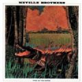 Neville Brothers - Fiyo On The Bayou (Imp)